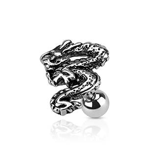 Cartilage piercing do ucha - had