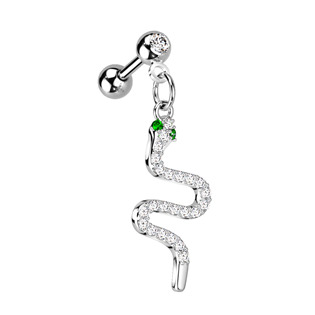 Cartilage piercing do ucha - had se zelenýma očima