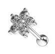 Cartilage piercing kytička