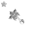 Cartilage piercing kytička 