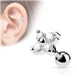 Cartilage piercing do ucha