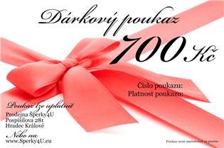 Dárkový poukaz 700,- Kč