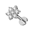 Piercing do brady labreta kytička