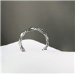 Obrázek_(4)