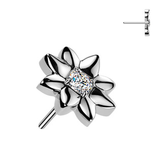 Ozdobná část k PUSH IN piercingu TITAN