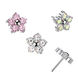 Ozdobná část k PUSH IN piercingu TITAN