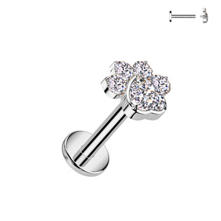 Piercing do brady - labreta TITAN