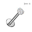 Piercing do brady do ucha Moissanit labreta titan