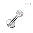 Piercing do brady do ucha Moissanit labreta titan