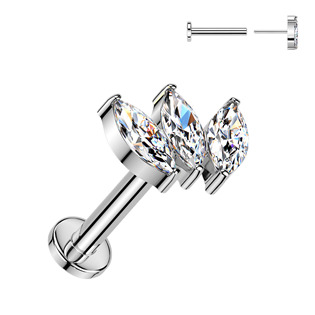 Piercing do brady - PUSH IN labreta TITAN