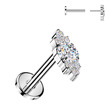 Piercing do brady labuť labreta titan