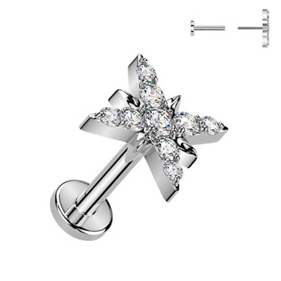 Piercing do brady hvězdička - PUSH IN labreta TITAN
