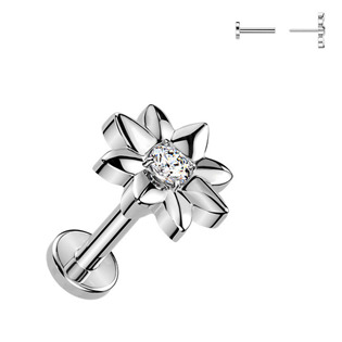 Piercing do brady kytička - PUSH IN labreta TITAN