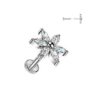 Piercing do brady kytička - PUSH IN labreta TITAN