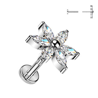 Piercing do brady kytička - PUSH IN labreta TITAN