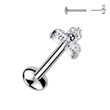 Piercing do brady labuť labreta titan