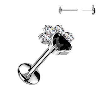 Piercing do brady tlapka - PUSH IN labreta TITAN