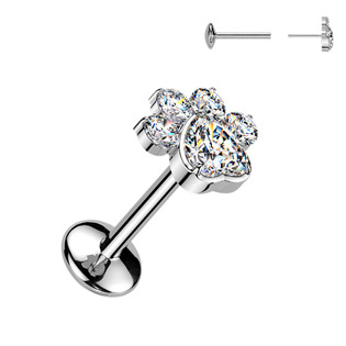 Piercing do brady tlapka - PUSH IN labreta TITAN