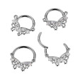 Piercing segment titan se zirkony 