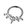Piercing segment titan se zirkony 