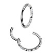 Piercing segment titan se zirkony 