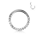 Segment kruh - septum / helix / cartilage / tragus piercing TITAN, 1,2 x 8 mm