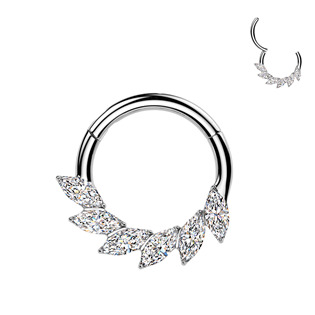 Segment kruh - septum / helix / cartilage / tragus piercing TITAN