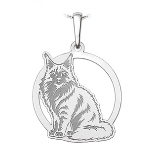 Stříbrný přívěsek mainská mývalí kočka
