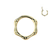 Segment piercingový kruh