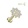 Piercing do brady - labreta s kytičkou