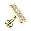 Piercing do brady - labreta