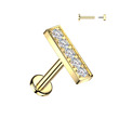 Piercing do brady - labreta se zirkony