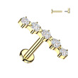 Piercing do brady - labreta se zirkony 