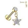 Labreta piercing do ucha s hvězdičkou