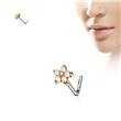Piercing do nosu