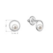 Zlaté perlové náušnice AU 585/1000 rozměry