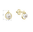 Zlaté perlové náušnice AU 585/1000 rozměry
